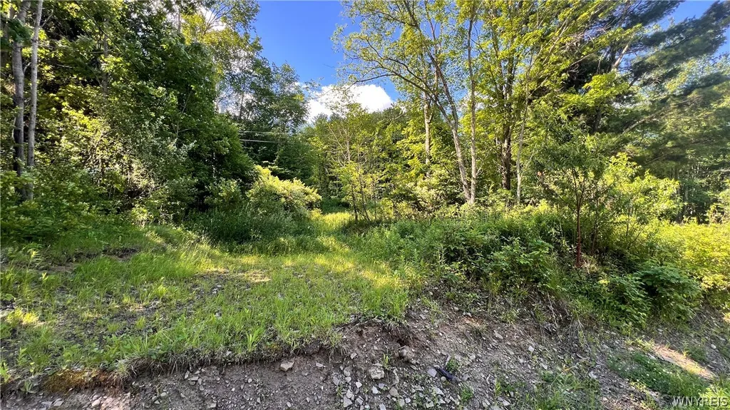 Property at Cherry Valley Road, Allegany, NY 14706