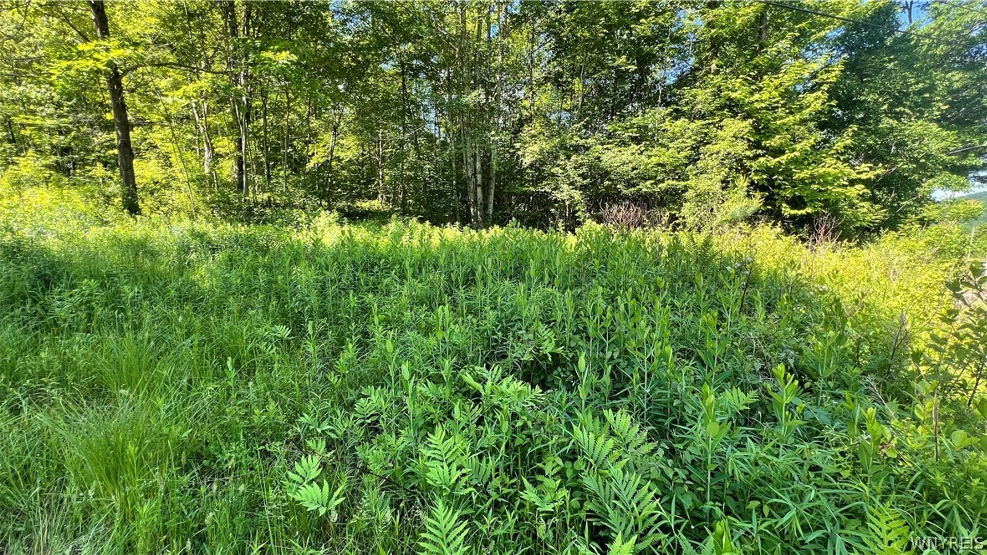 Property at Cherry Valley Road, Allegany, NY 14706 3