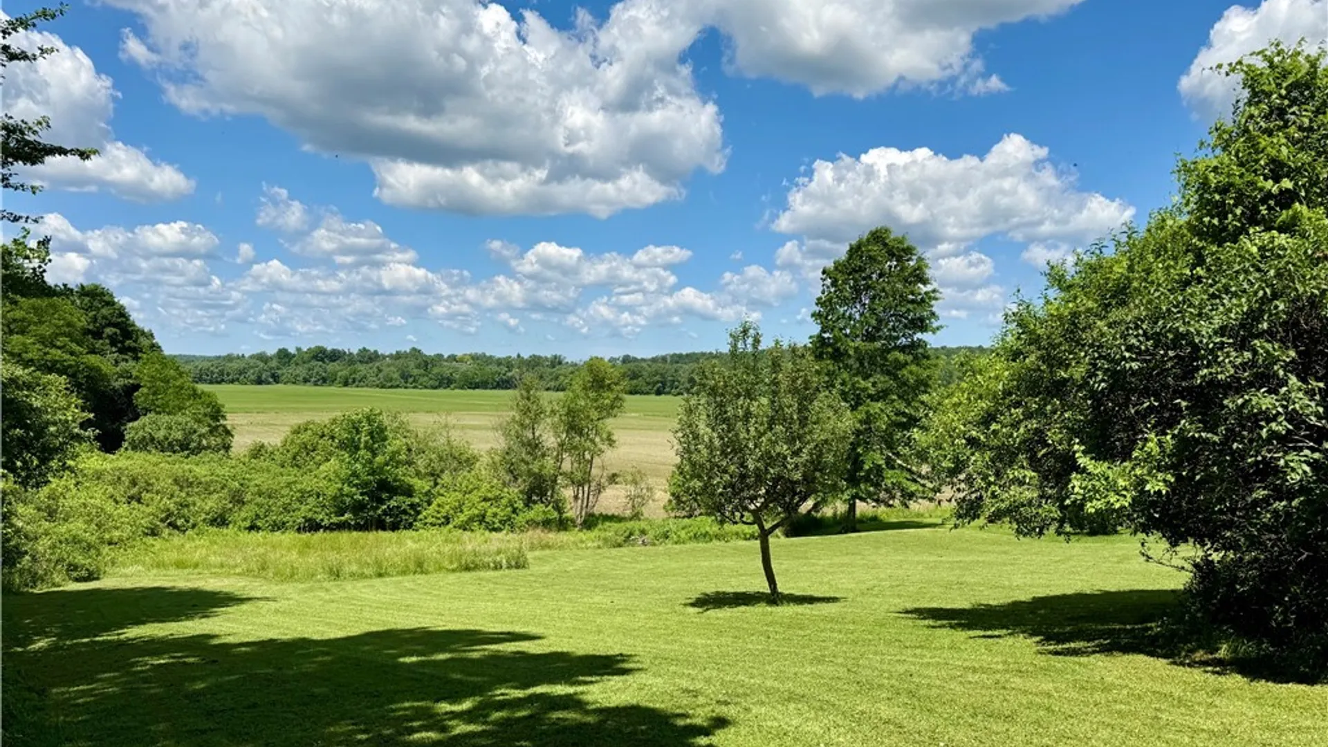 Property at 153 Spring Street, Randolph, NY 14772 7