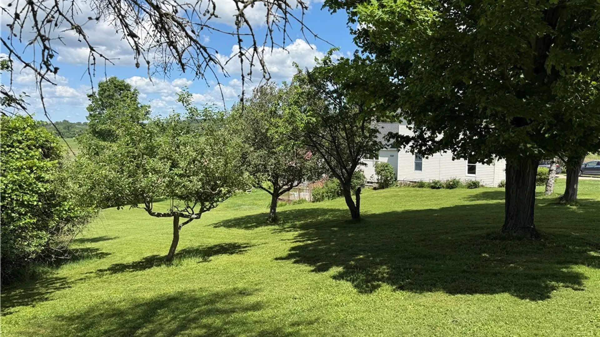 Property at 153 Spring Street, Randolph, NY 14772 8