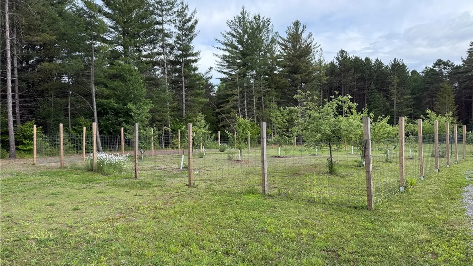 Property at 7510 N Chases Lake Road, Watson, NY 13343 46