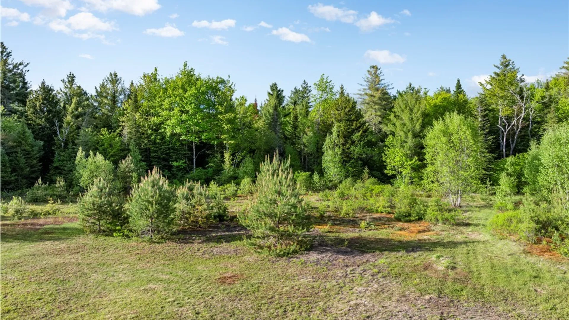 Property at 225 Lite Road, Russia, NY 13338 12
