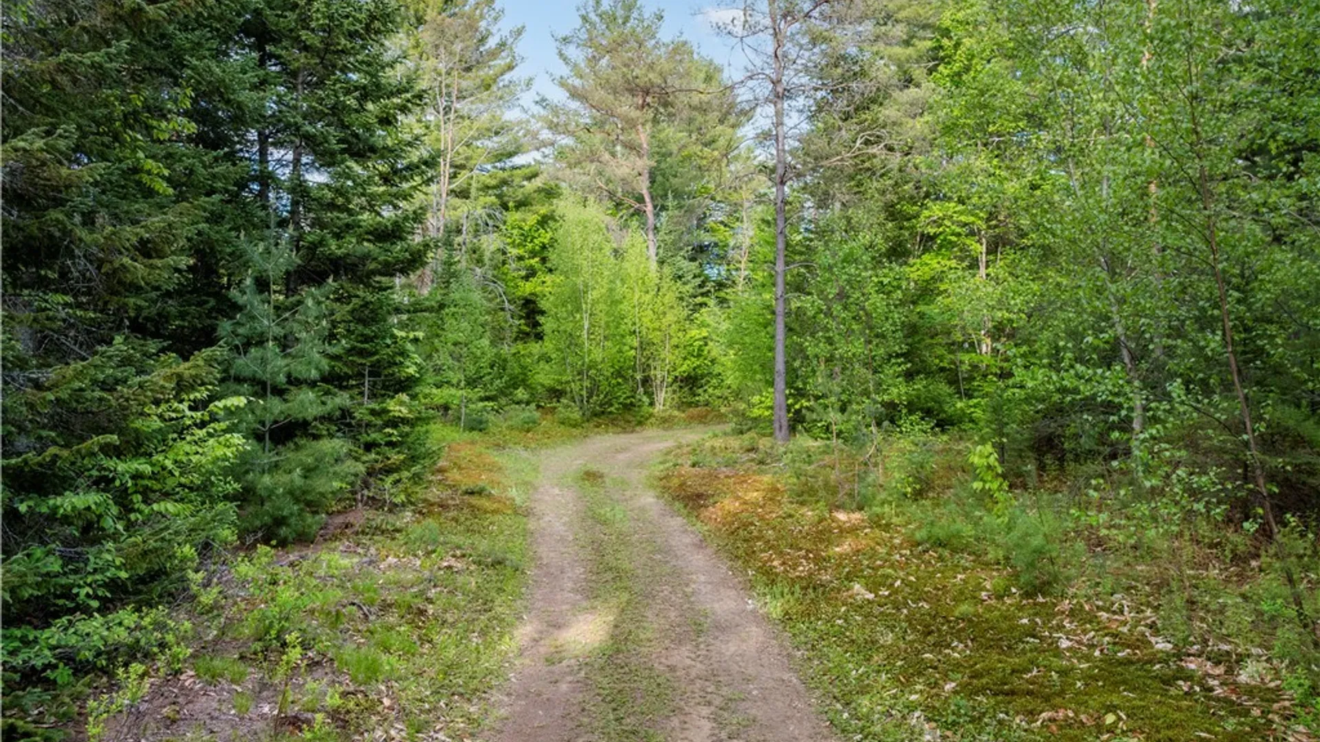 Property at 225 Lite Road, Russia, NY 13338 13