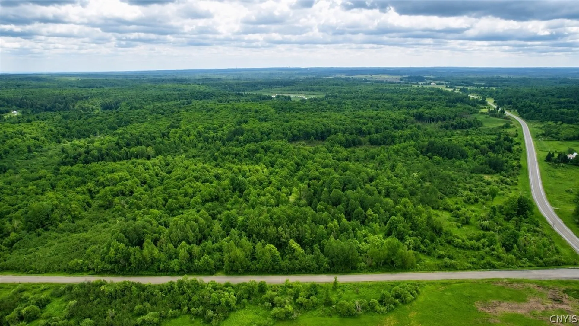 Property at Rt-177, Pinckney, NY 13626 4