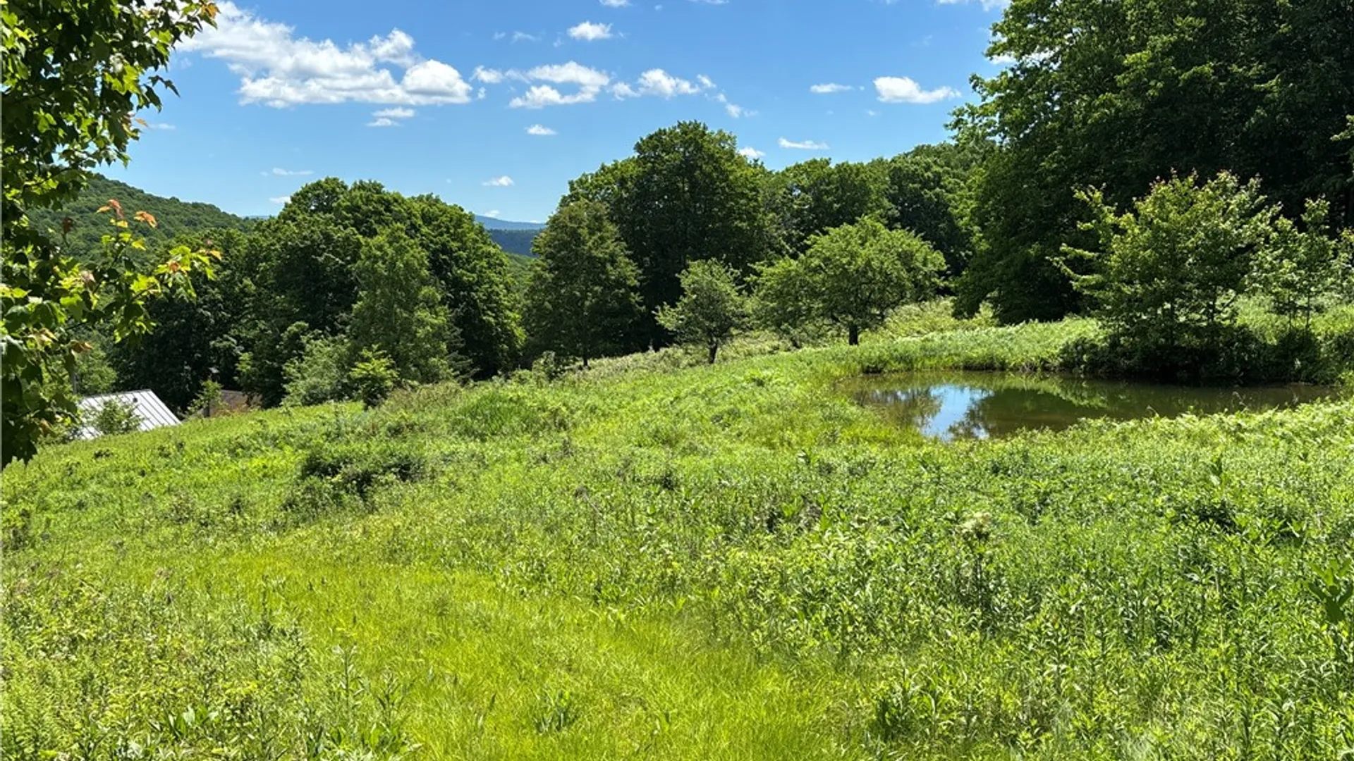 Property at 2613 Murphy Hill Road, Andes, NY 13731 21