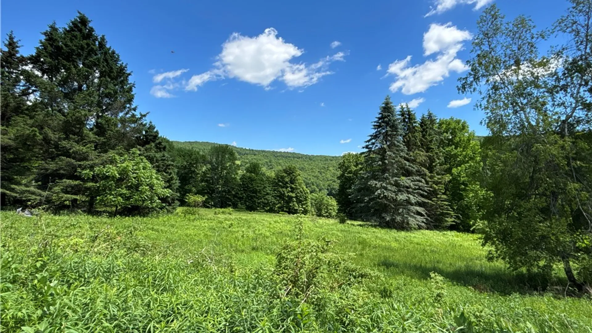 Property at 2613 Murphy Hill Road, Andes, NY 13731 22