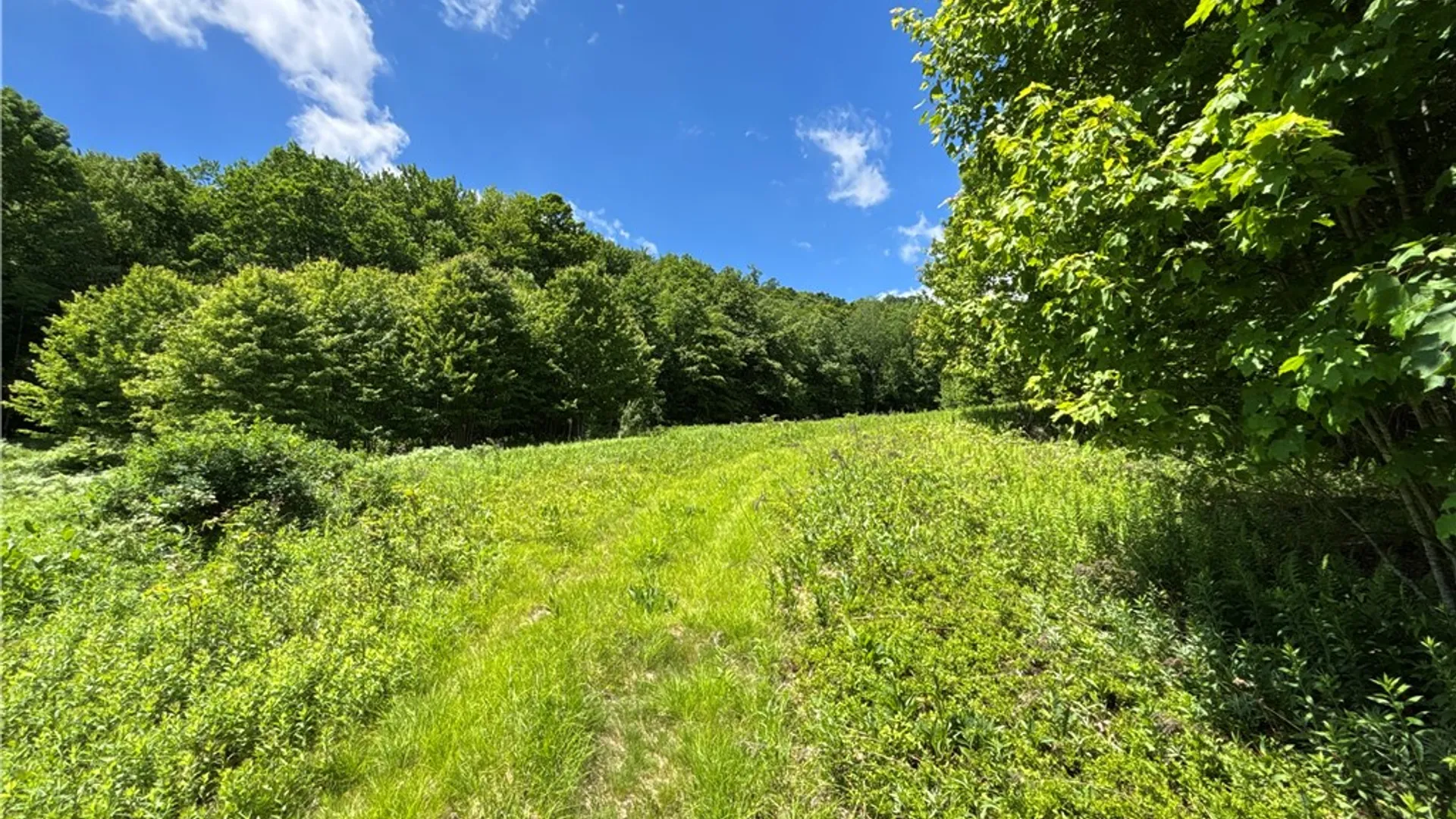 Property at 2613 Murphy Hill Road, Andes, NY 13731 23