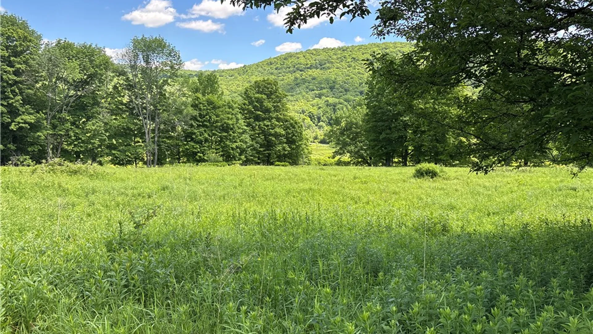 Property at 2613 Murphy Hill Road, Andes, NY 13731 24