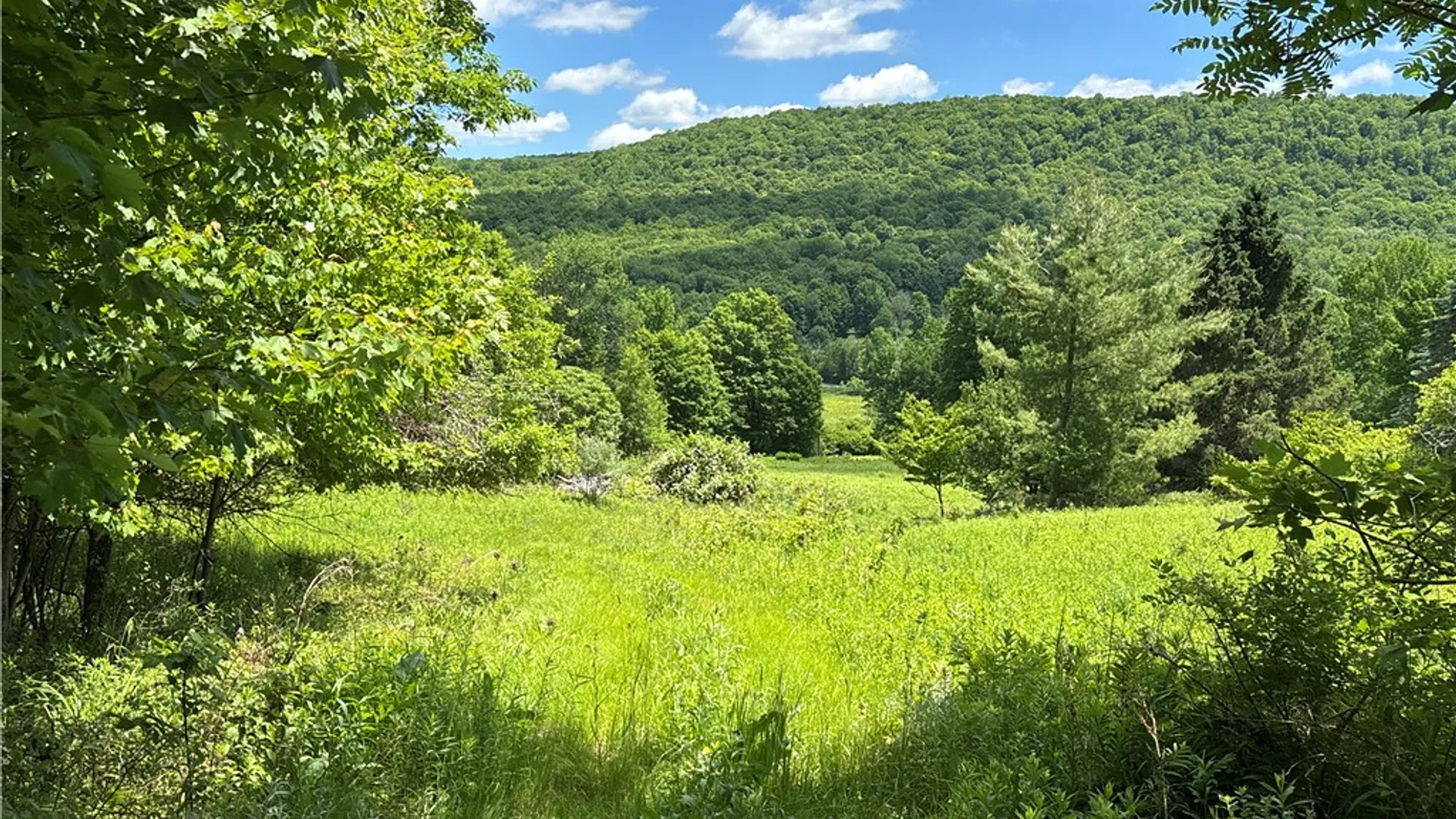 Property at 2613 Murphy Hill Road, Andes, NY 13731 25