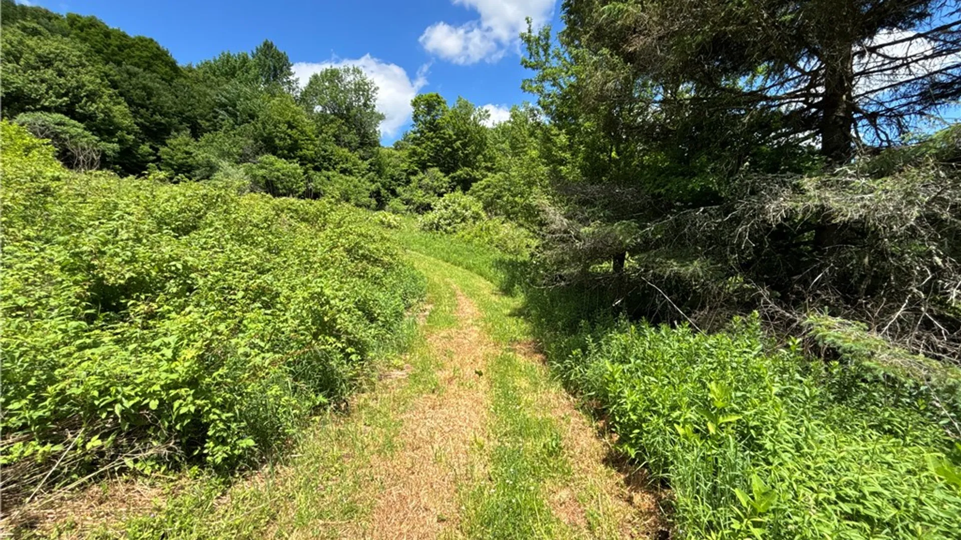 Property at 2613 Murphy Hill Road, Andes, NY 13731 26