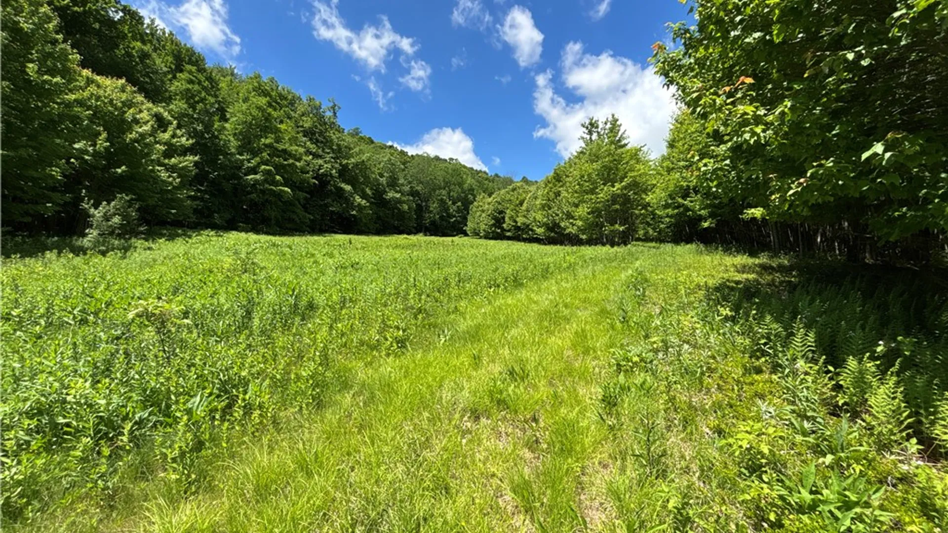 Property at 2613 Murphy Hill Road, Andes, NY 13731 27