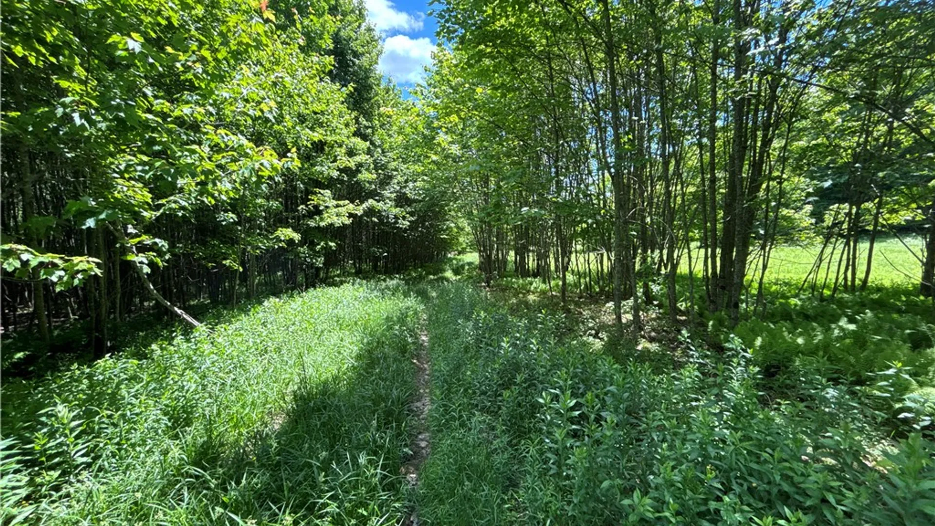 Property at 2613 Murphy Hill Road, Andes, NY 13731 28