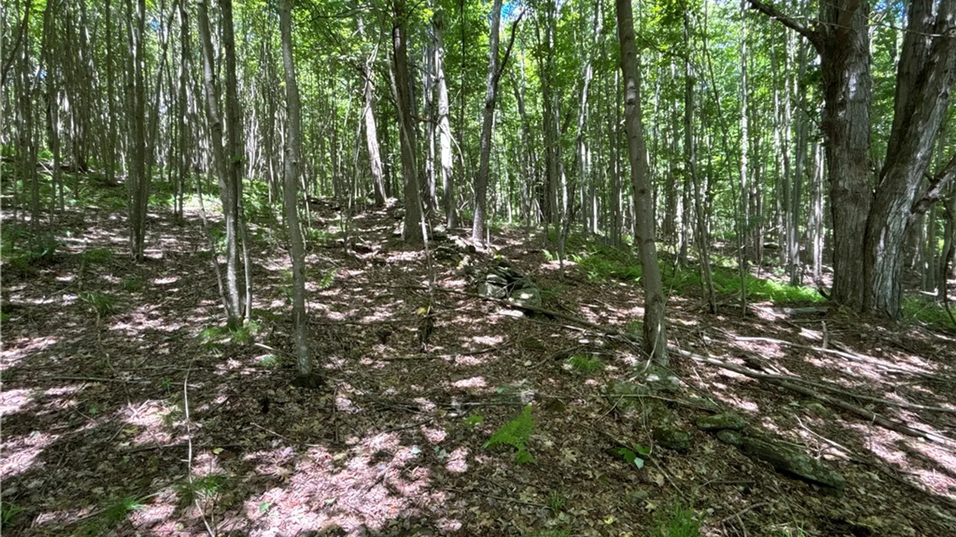 Property at 2613 Murphy Hill Road, Andes, NY 13731 29