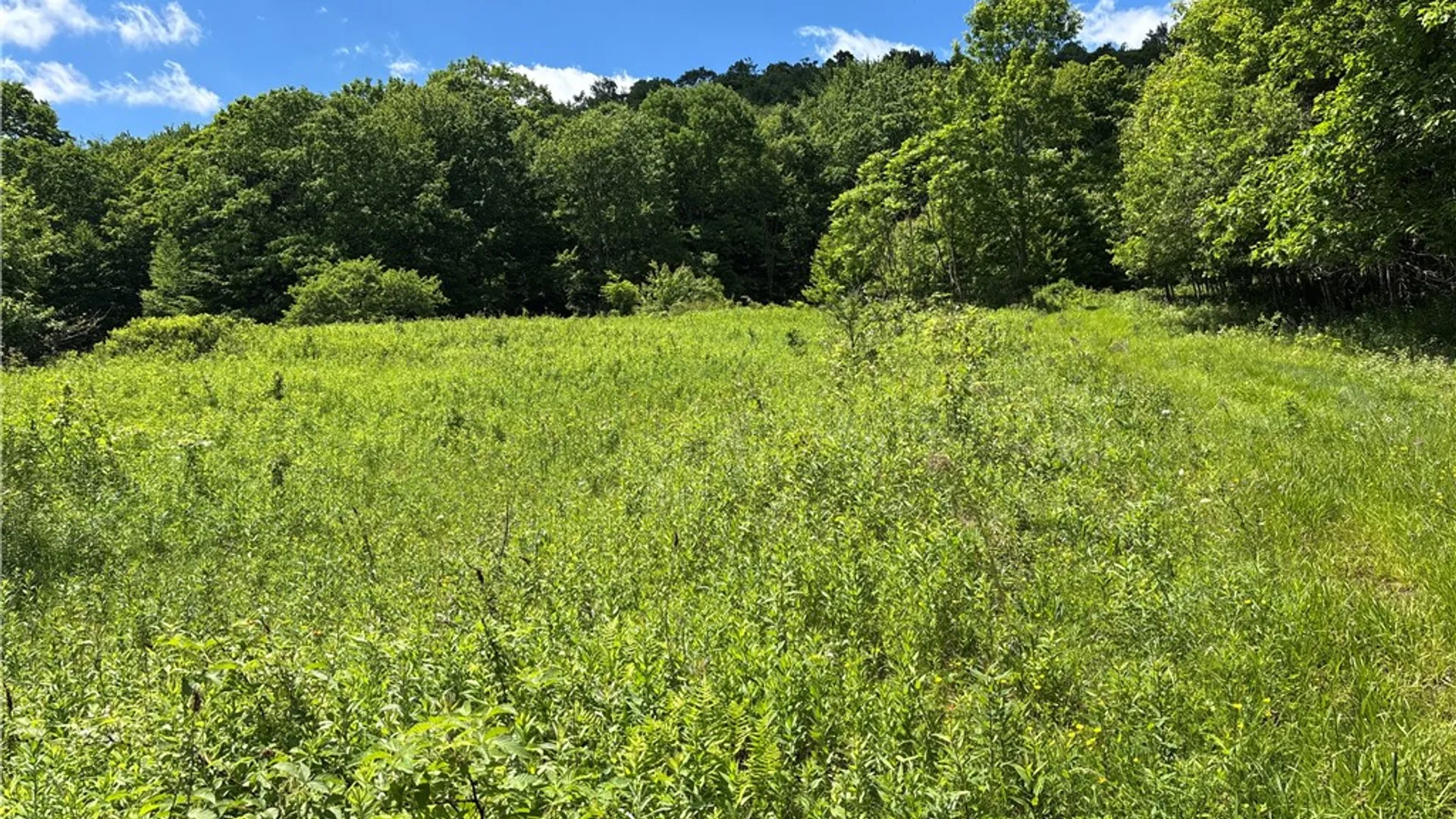 Property at 2613 Murphy Hill Road, Andes, NY 13731 30