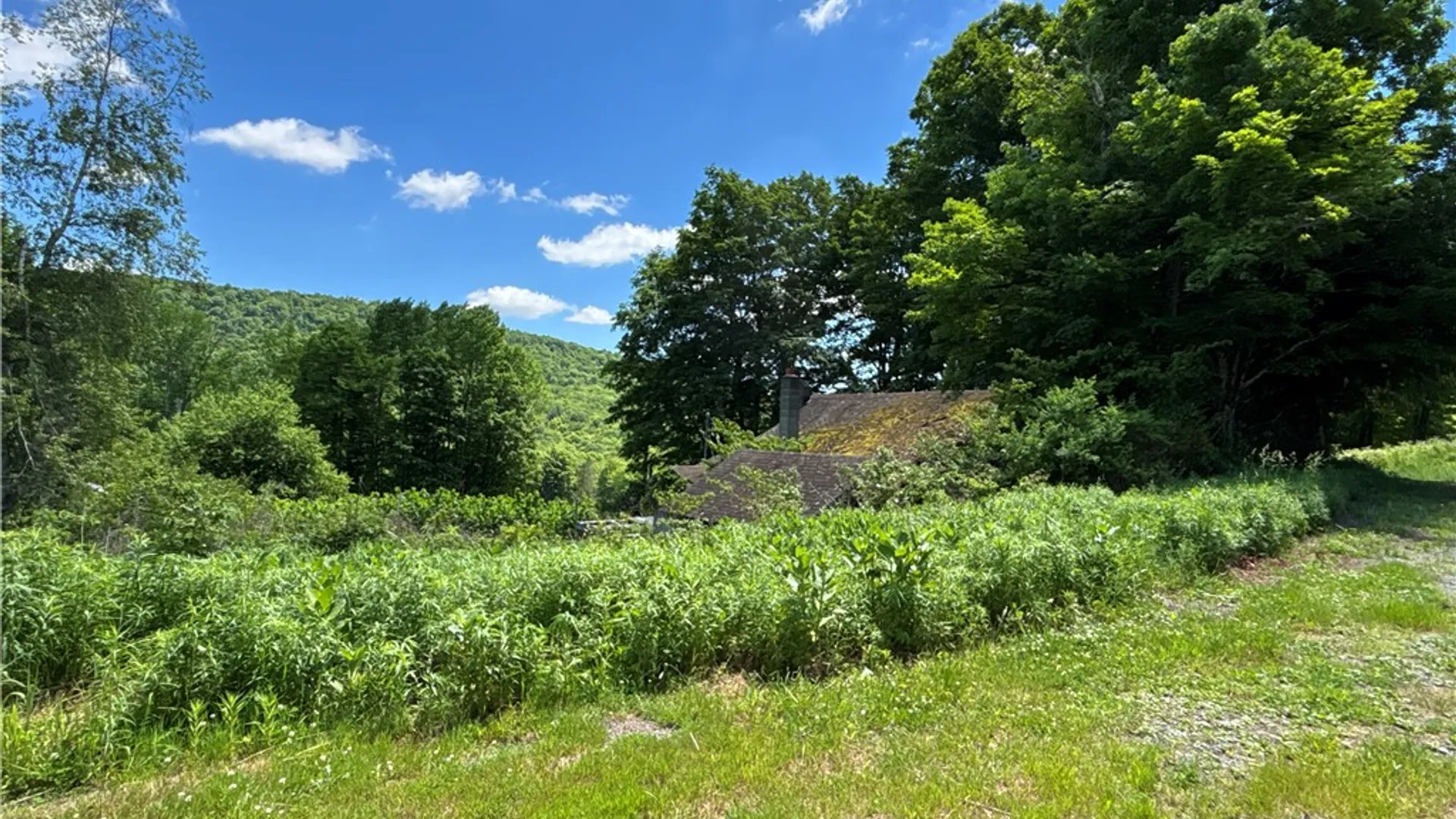 Property at 2613 Murphy Hill Road, Andes, NY 13731 31