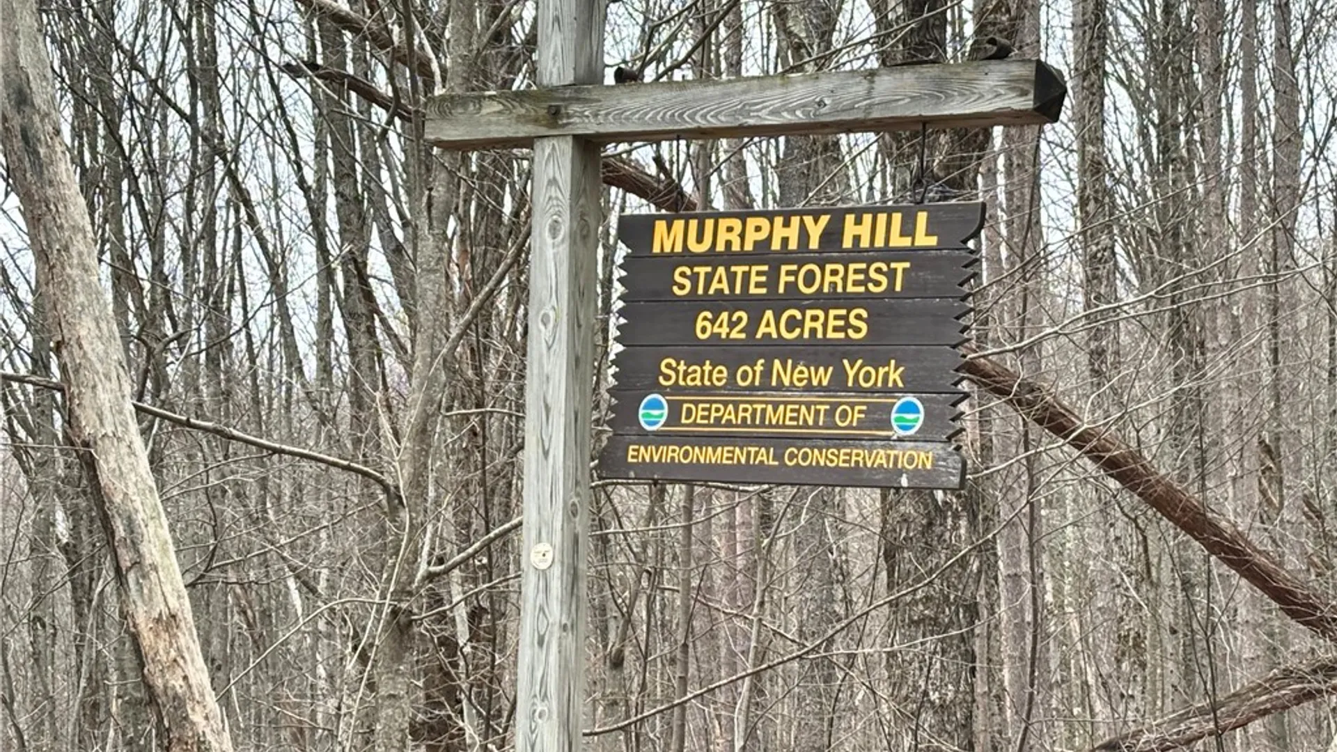 Property at 2613 Murphy Hill Road, Andes, NY 13731 34