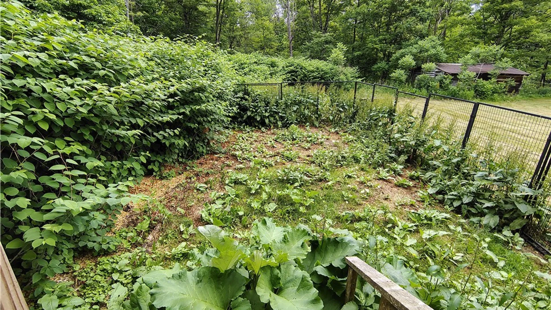 Property at 163 Creek Road, Danube, NY 13365 34