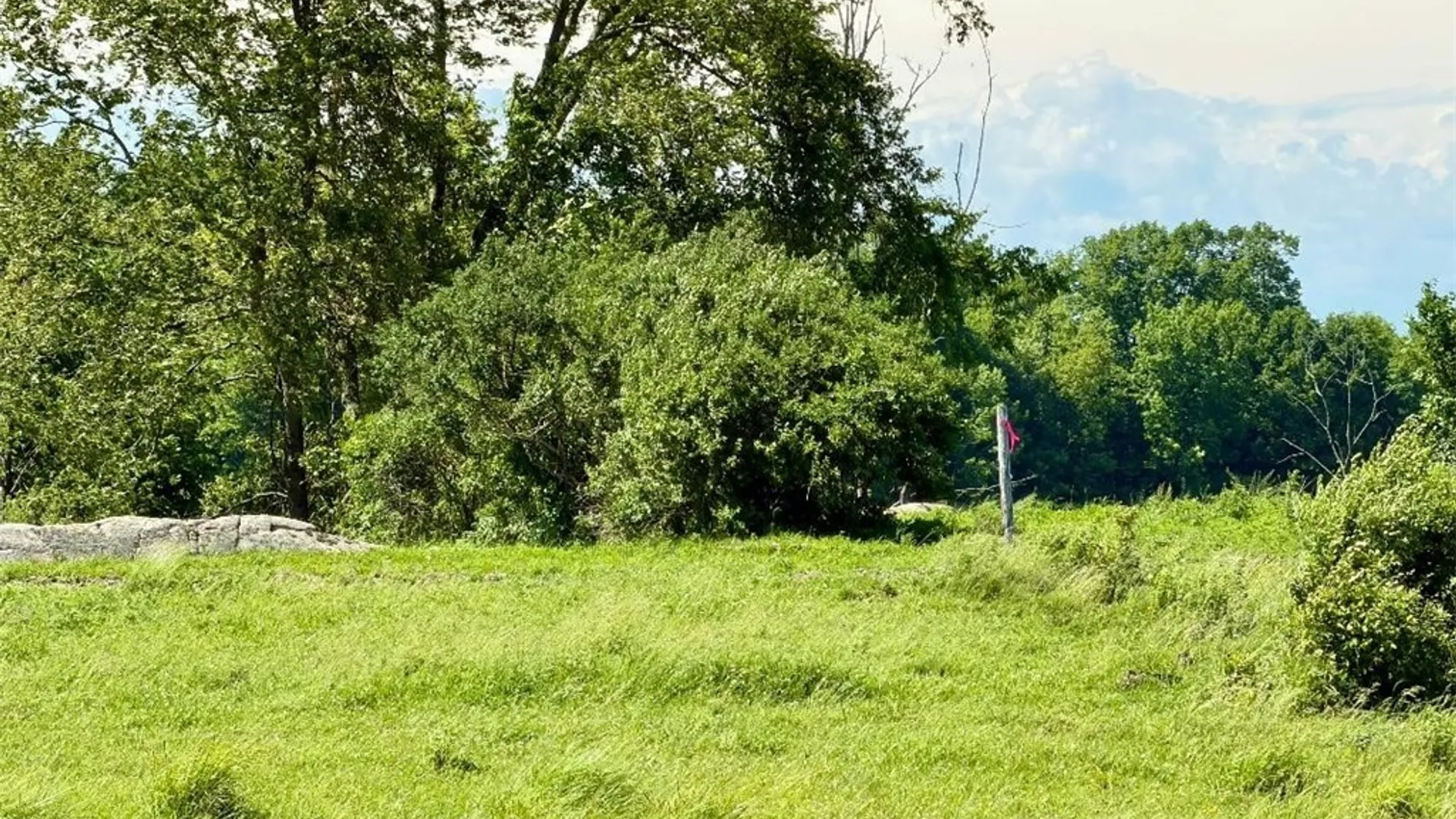 Property at 33599 Cr-194, Antwerp, NY 13608 9