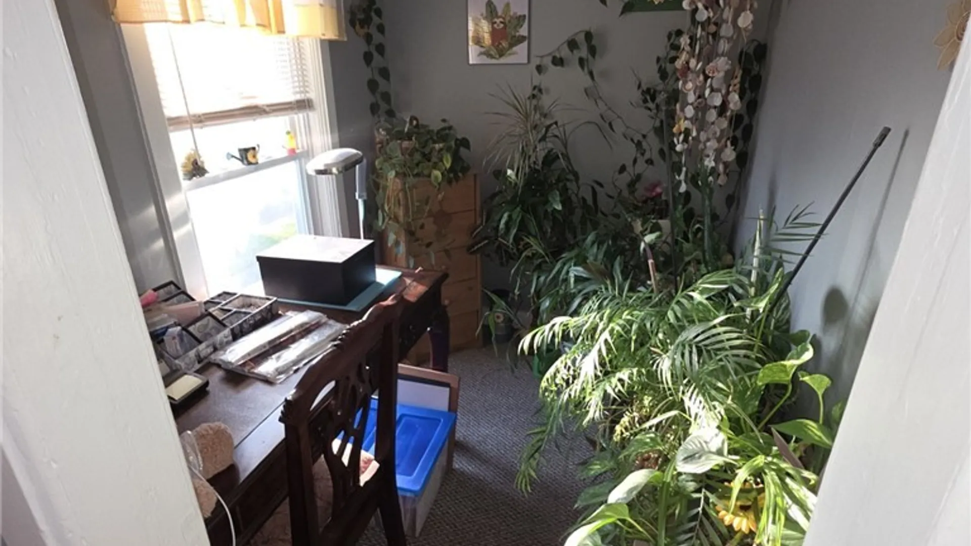 Property at 209 Summit Street, Boonville, NY 13309 23