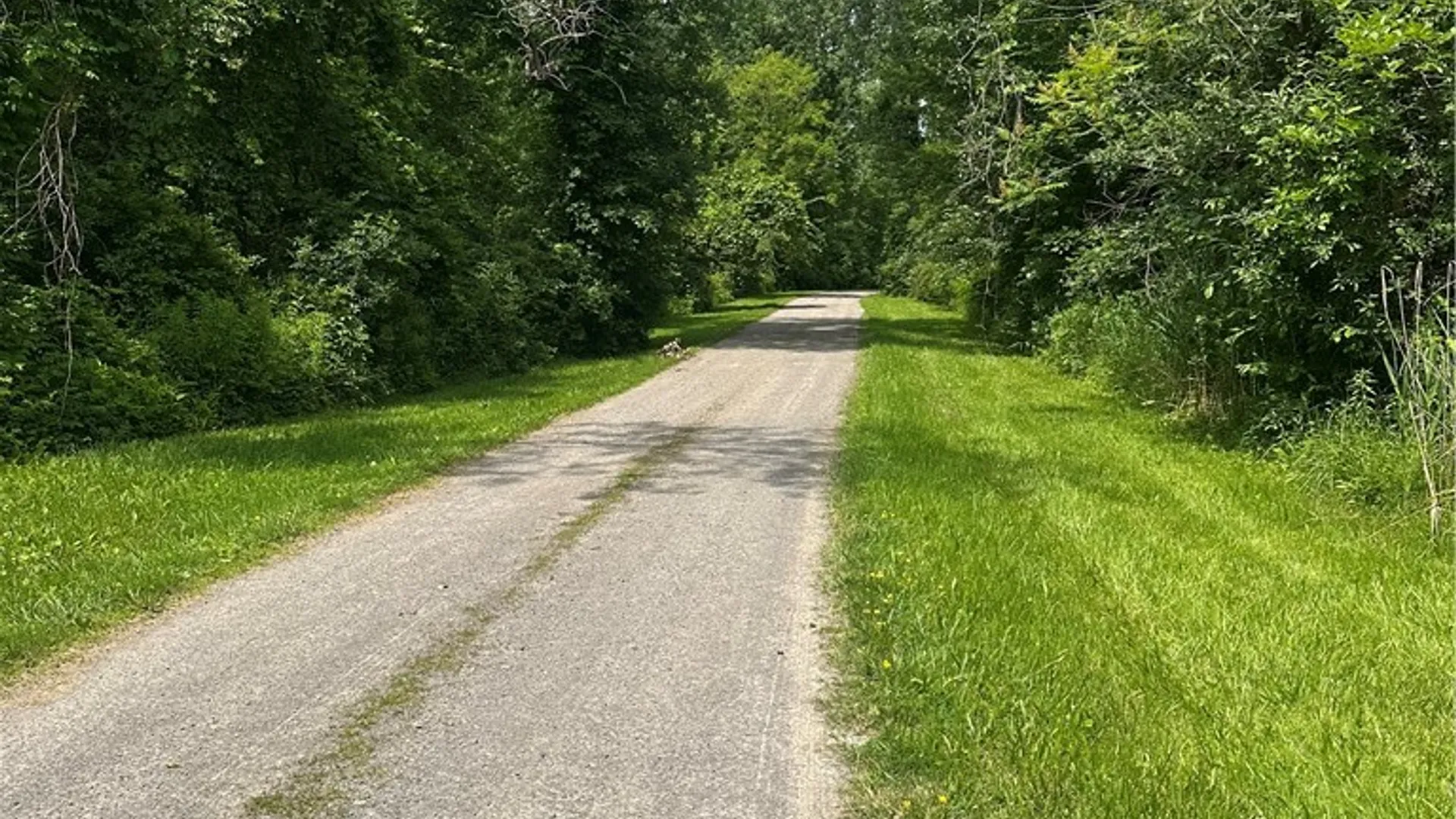Property at 16711 4th Section Road, Clarendon, NY 14470 31