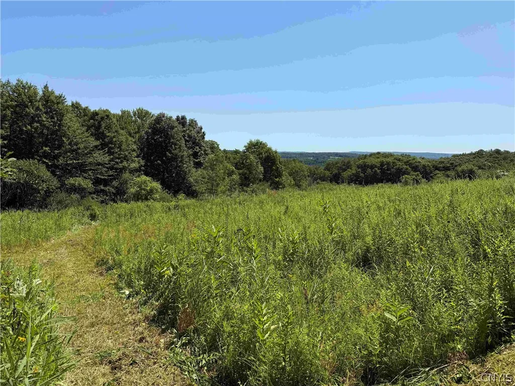 Property at Dye Road, Dayton, NY 14138