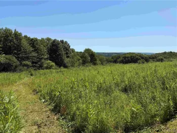 Property at Dye Road, Dayton, NY 14138