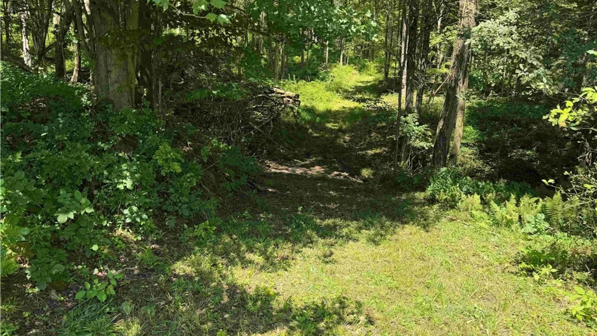 Property at Dye Road, Dayton, NY 14138 9