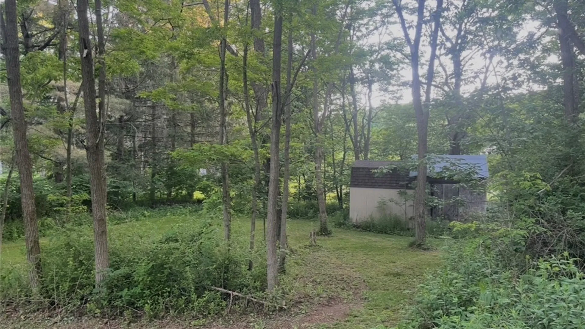 Property at 6554 Glen Haven Road, Scott, NY 13077 47