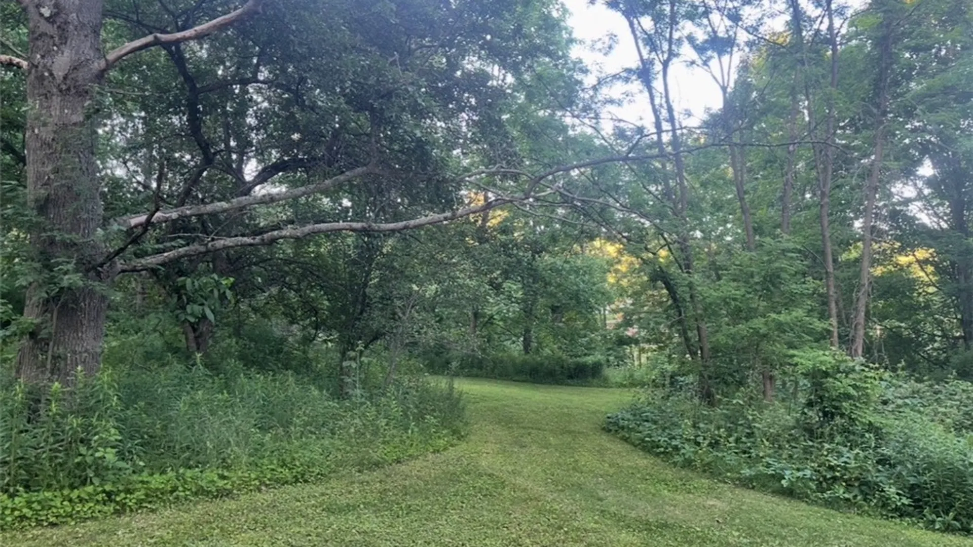 Property at 6554 Glen Haven Road, Scott, NY 13077 48