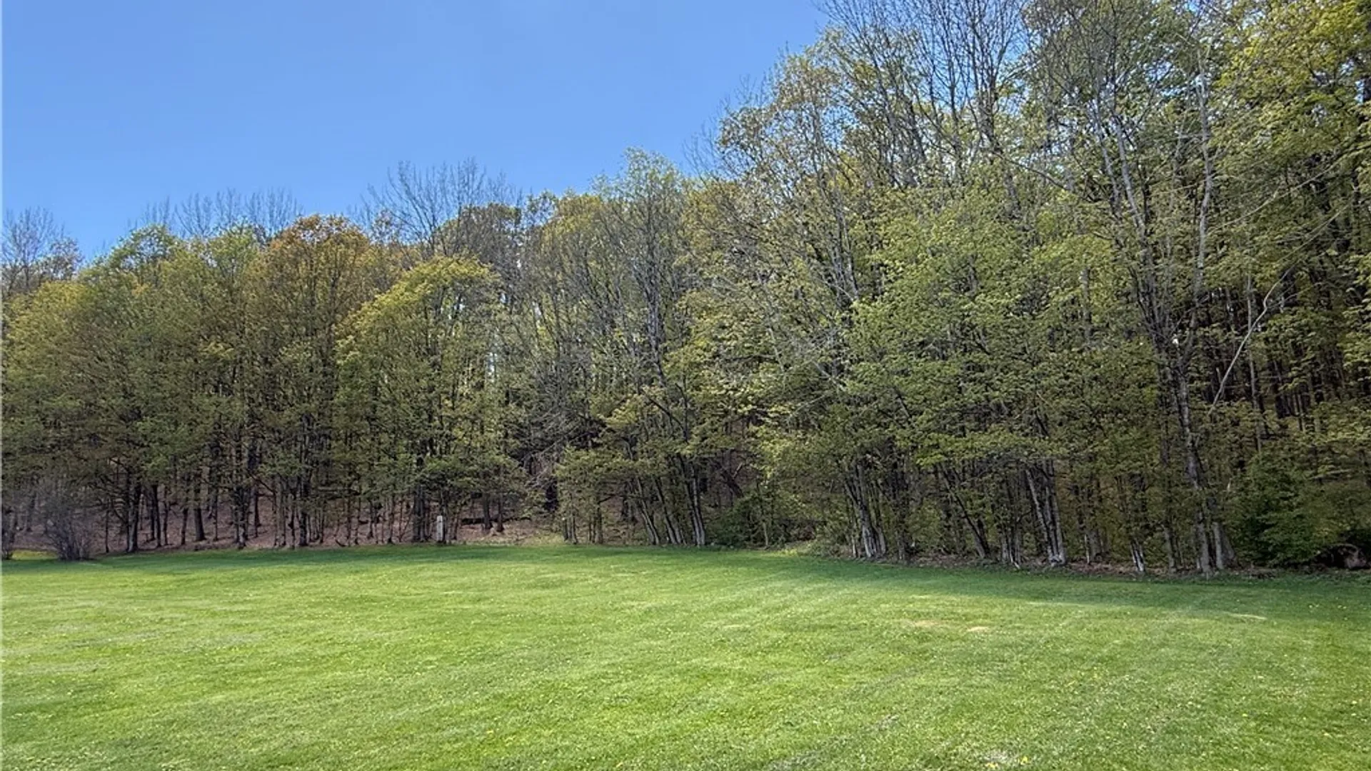 Property at 274 Reservoir Hill Road, Plymouth, NY 13815 35