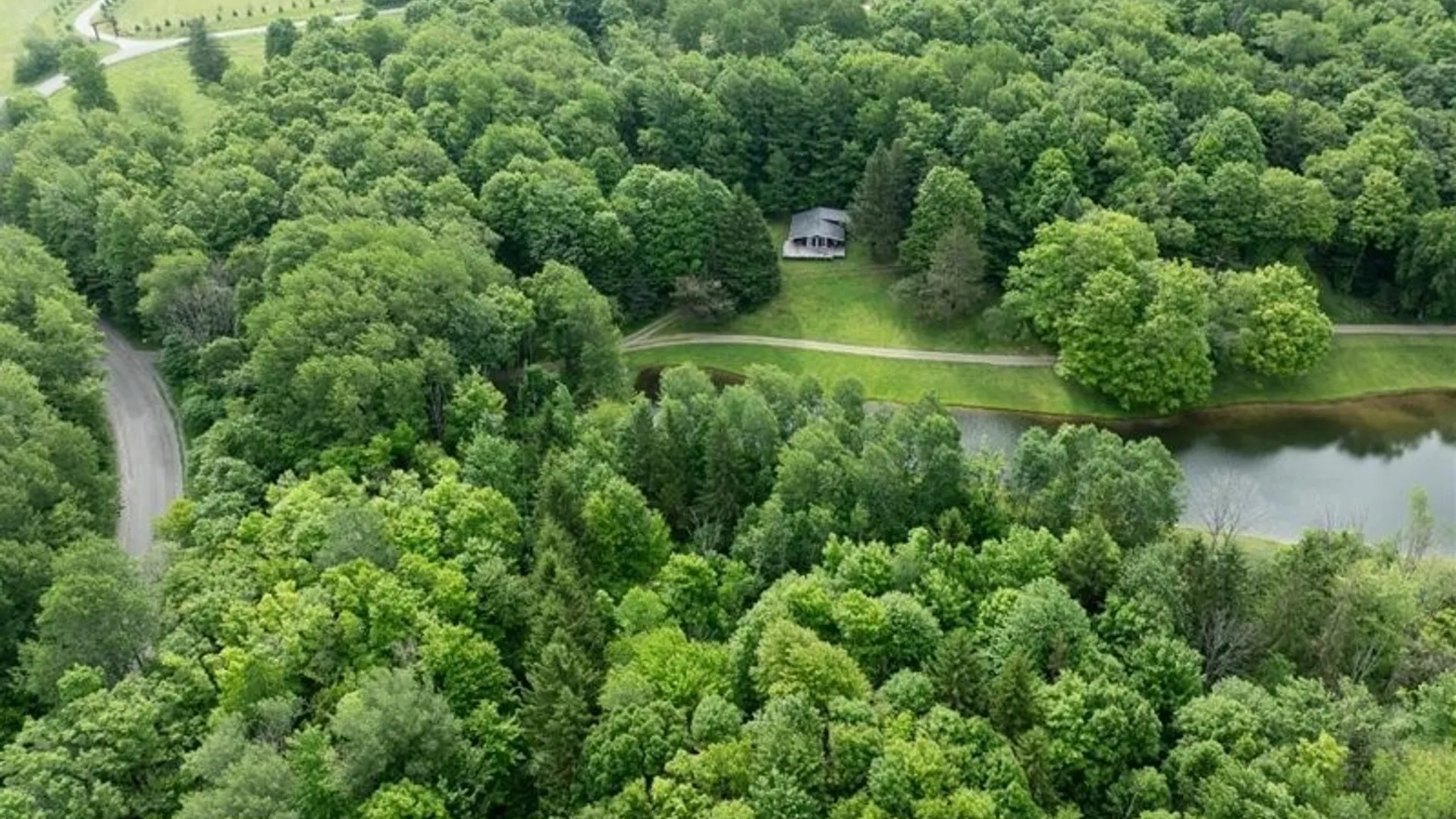 Property at 7483 Monk Hill Road, East Otto, NY 14729 26