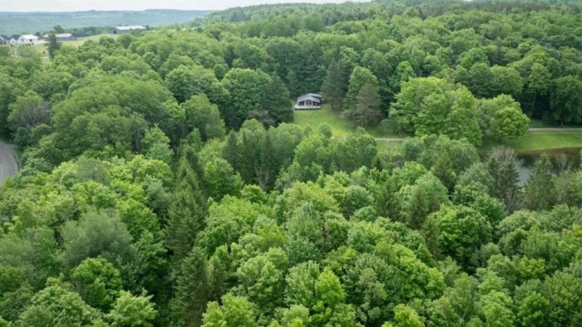 Property at 7483 Monk Hill Road, East Otto, NY 14729 24