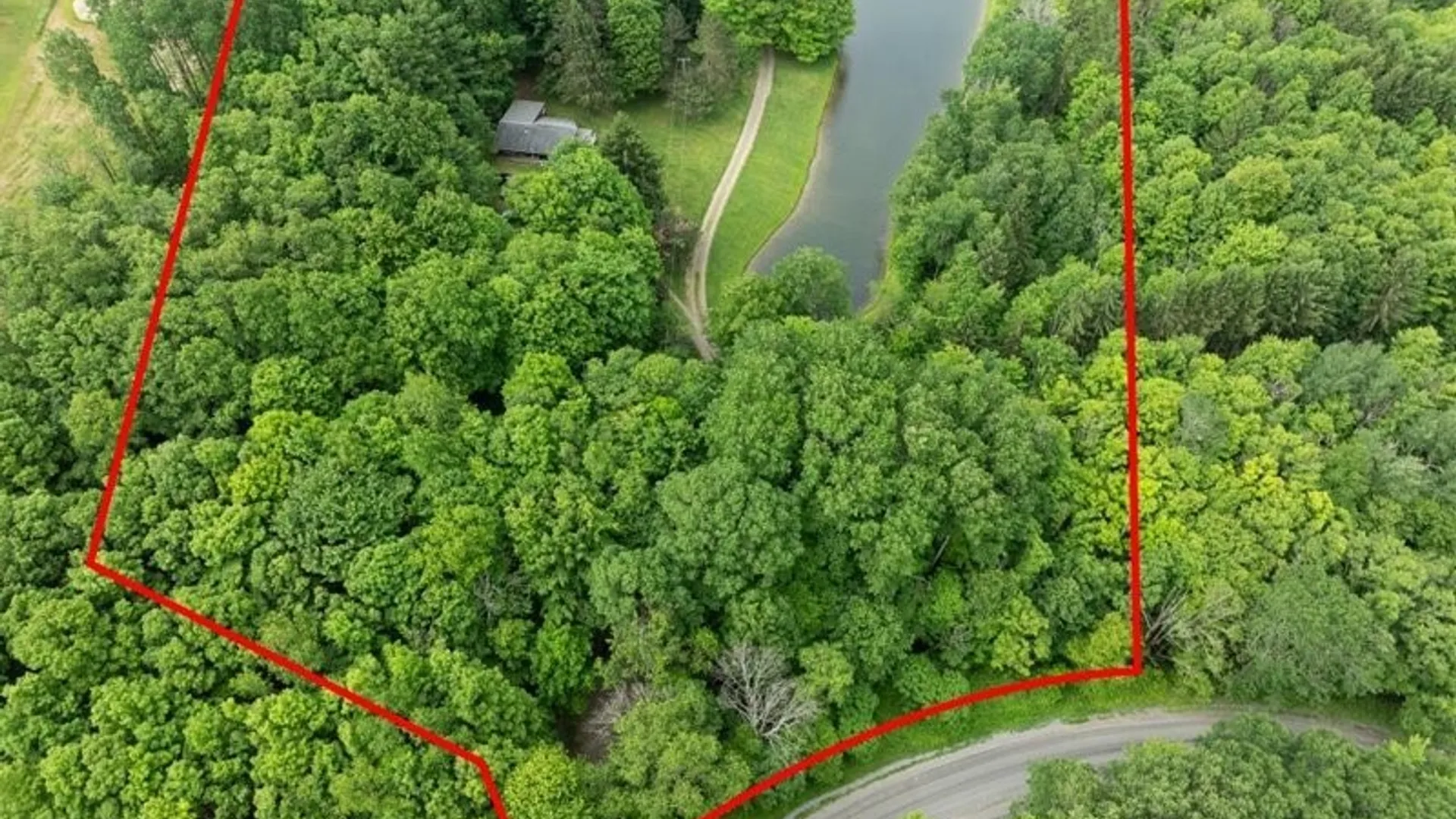 Property at 7483 Monk Hill Road, East Otto, NY 14729 3