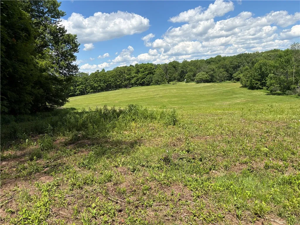 Property at 464 Reservoir Hill Road, Plymouth, NY 13815