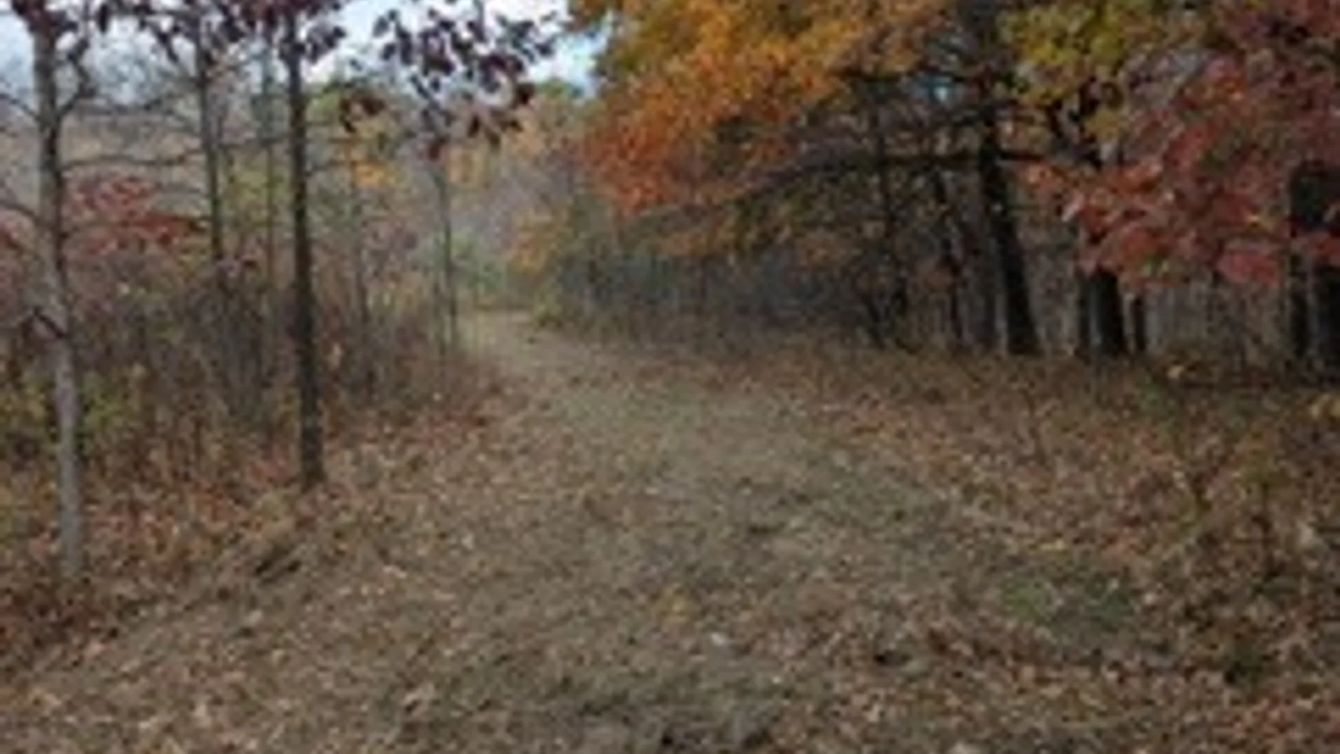 Property at 8639 Wright Road, Pulteney, NY 14874 4
