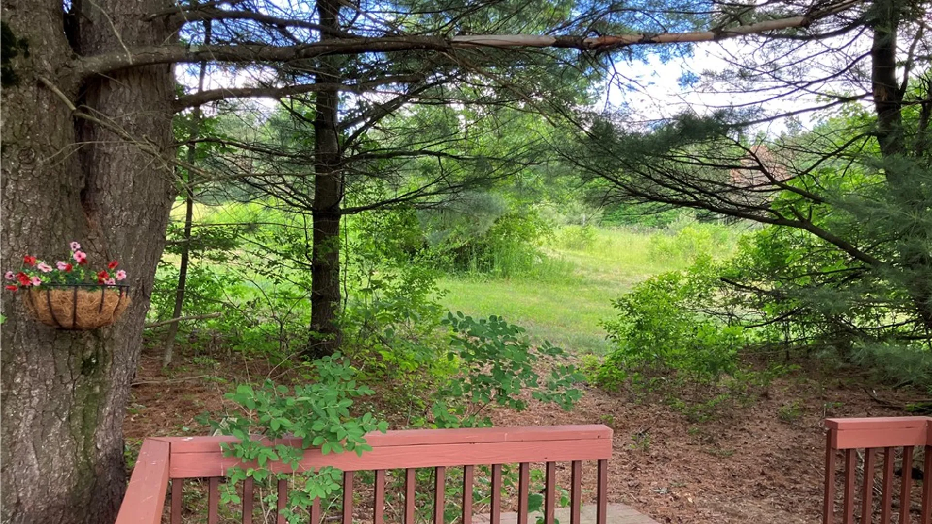 Property at 427 Rorick Hollow Road, Erin, NY 14838 17