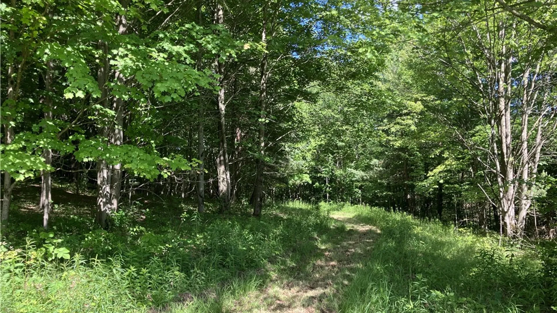 Property at 427 Rorick Hollow Road, Erin, NY 14838 42