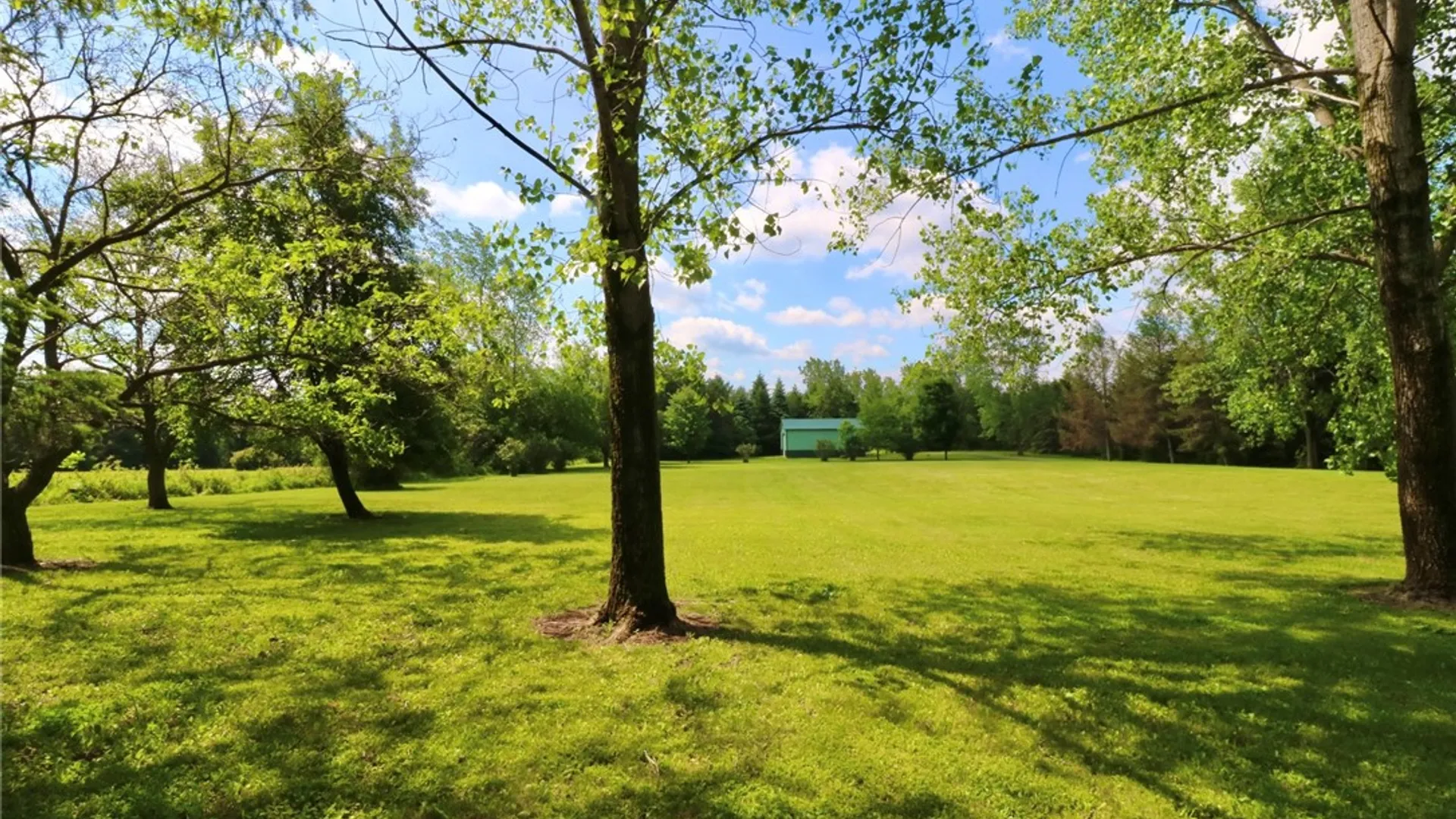 Property at 1774 Reed Road, Sweden, NY 14416 45