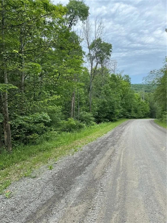 Property at 0 Cooper Hill Road, Van Etten, NY 14889