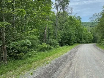Property at 0 Cooper Hill Road, Van Etten, NY 14889