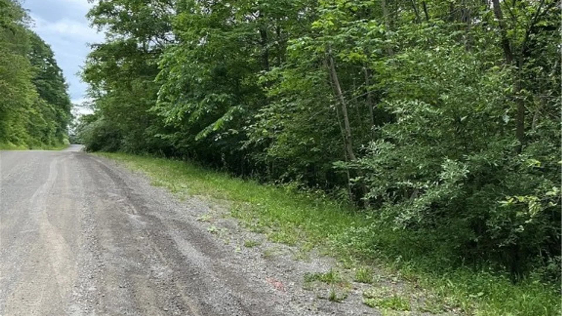 Property at 0 Cooper Hill Road, Van Etten, NY 14889 3