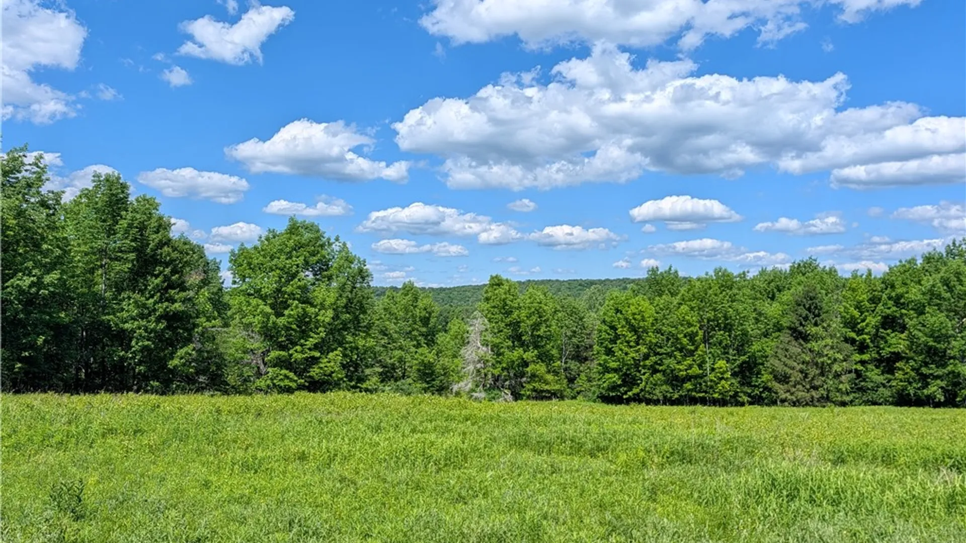 Property at Jennison Road, Pittsfield, NY 13411 3