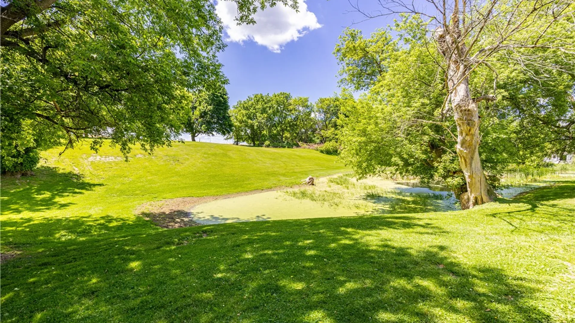 Property at 8733 State Route 5 And 20, West Bloomfield, NY 14469 17