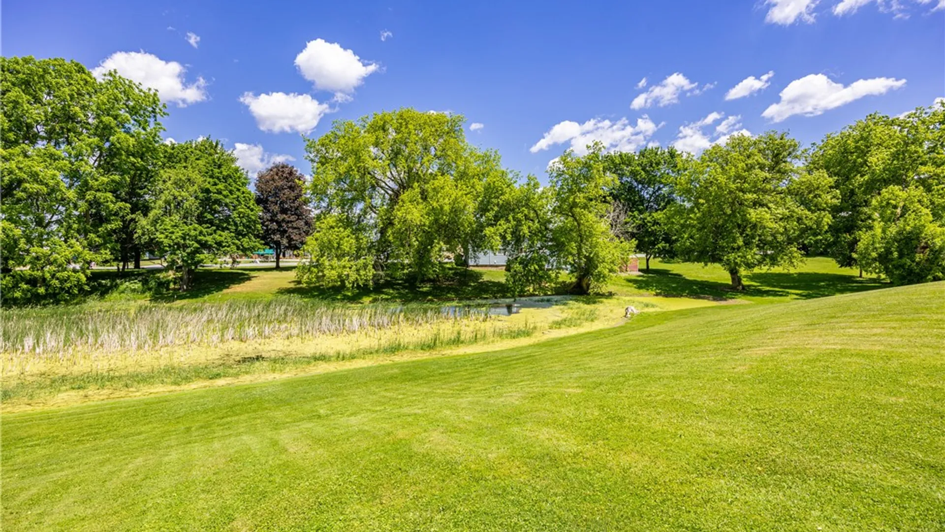Property at 8733 State Route 5 And 20, West Bloomfield, NY 14469 19