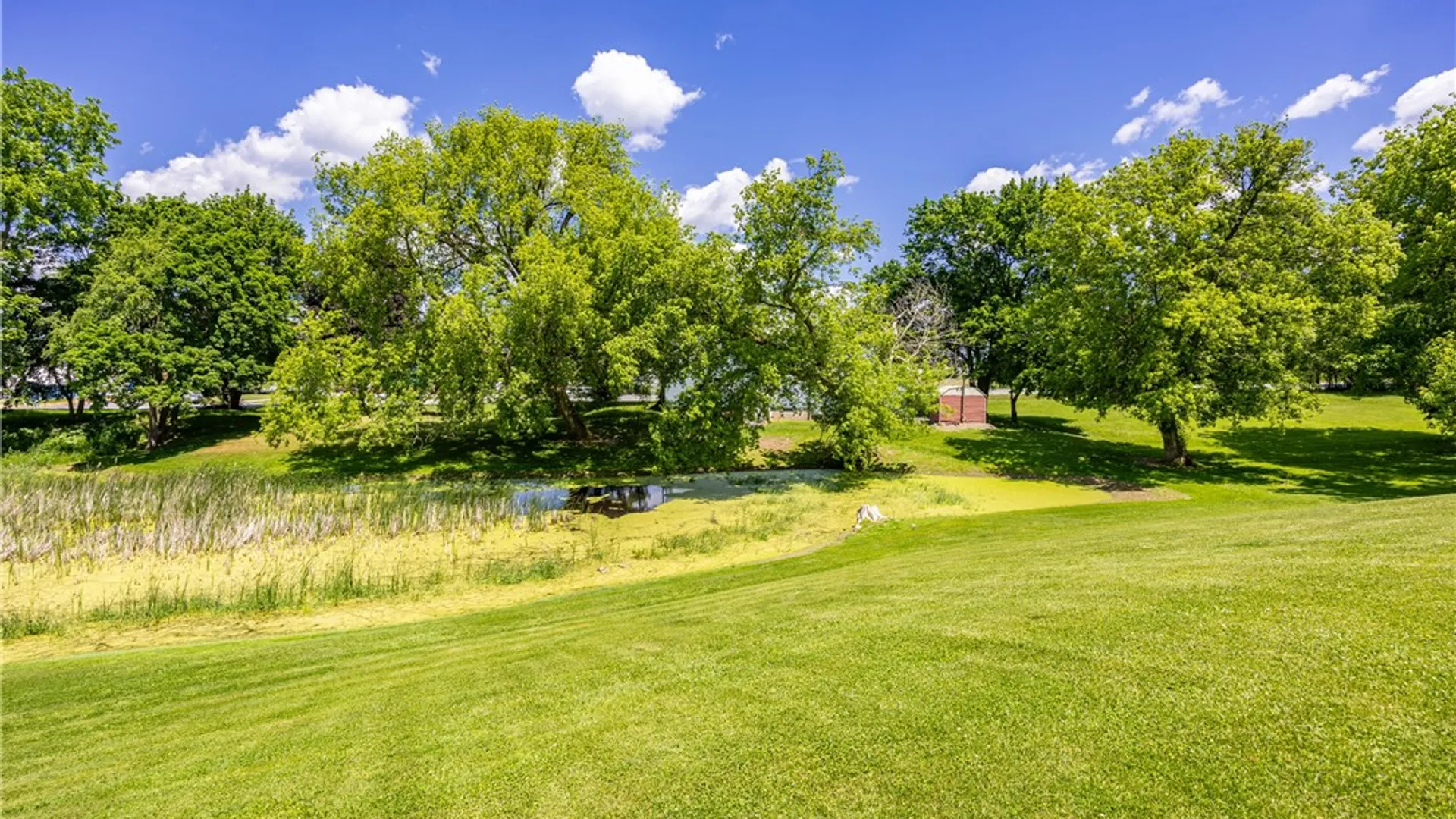 Property at 8733 State Route 5 And 20, West Bloomfield, NY 14469 20