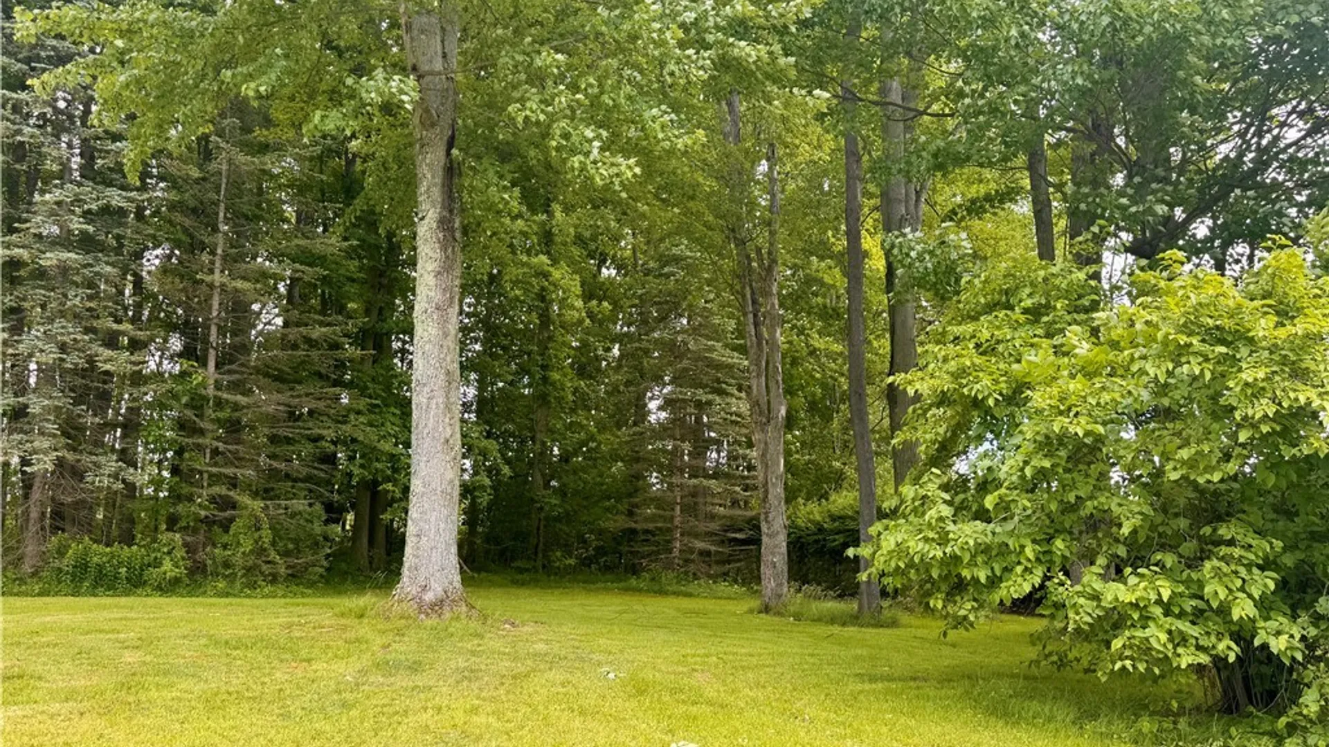 Property at 190 Old Fentonville Road, Carroll, NY 14738 25