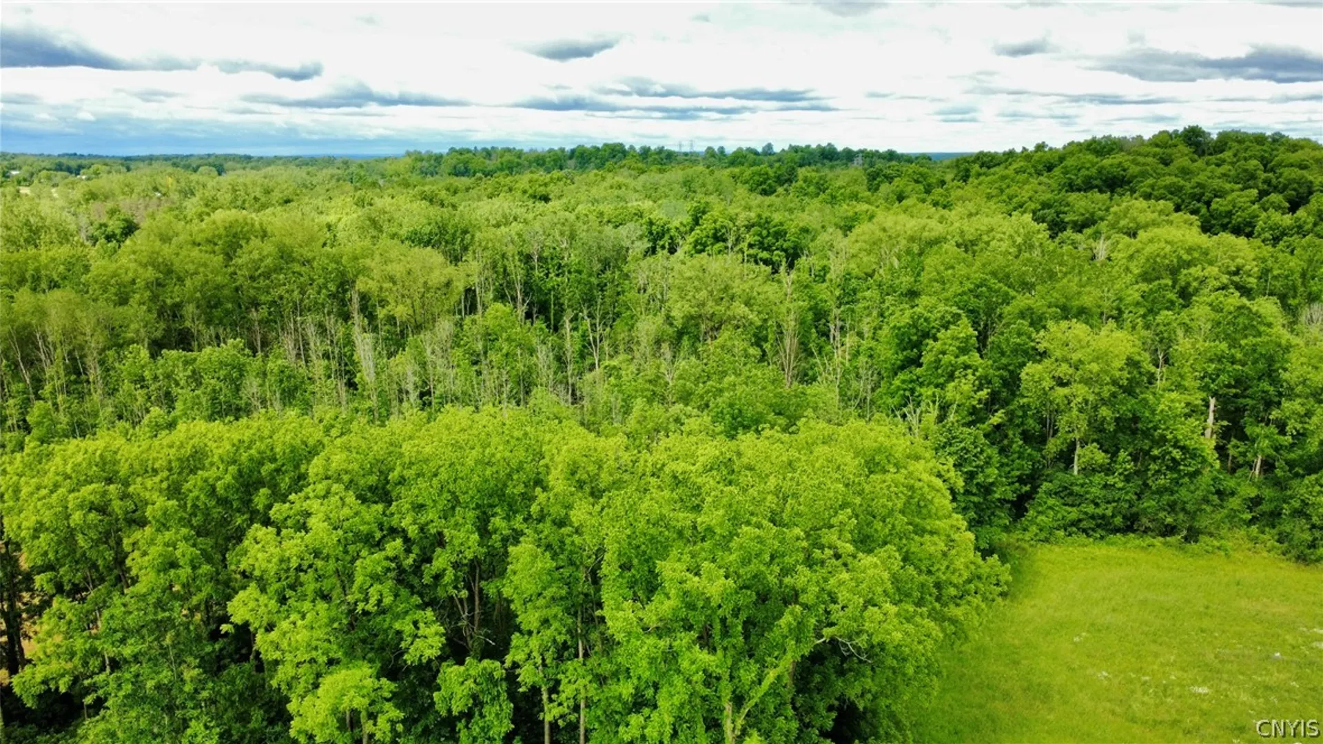 Property at 7675 Fosterville Road, Montezuma, NY 13140 40