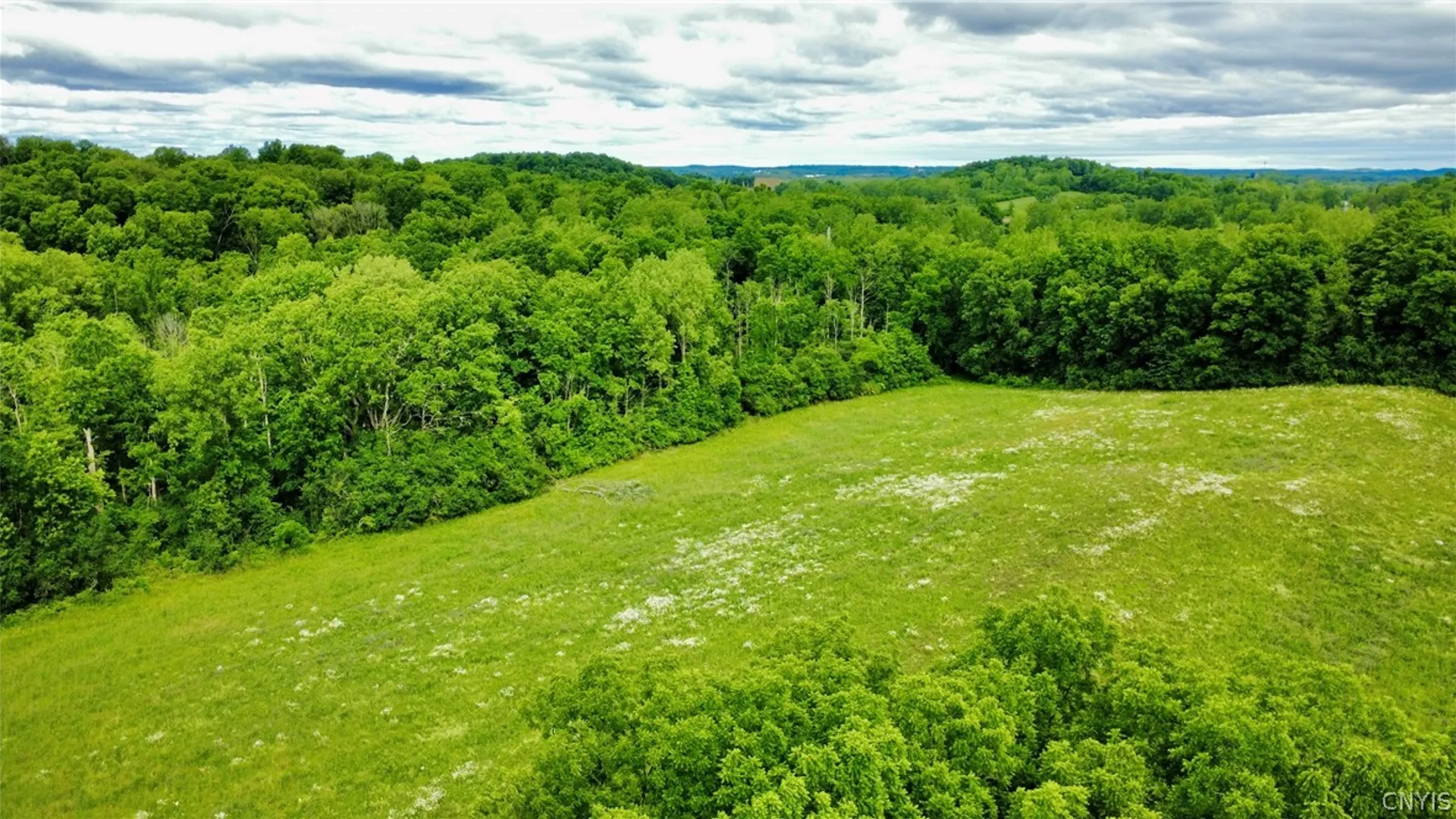 Property at 7675 Fosterville Road, Montezuma, NY 13140 41
