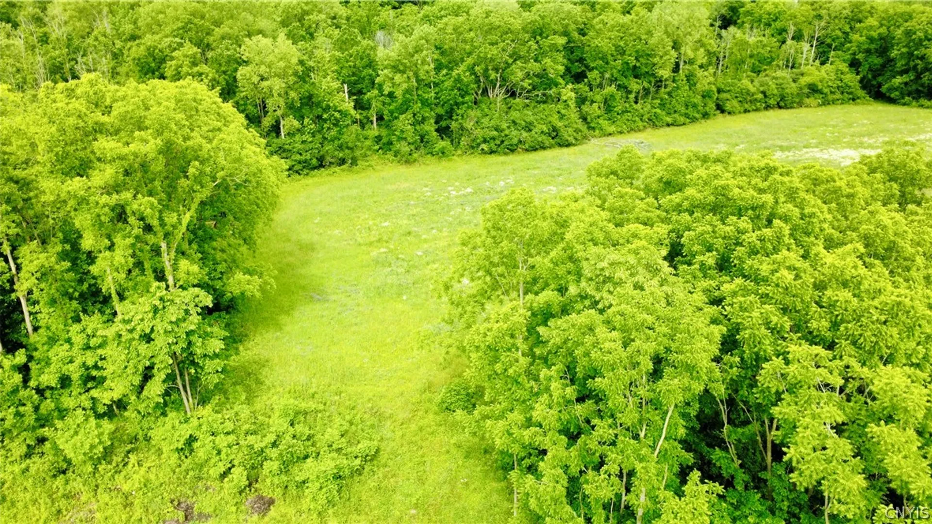 Property at 7675 Fosterville Road, Montezuma, NY 13140 42