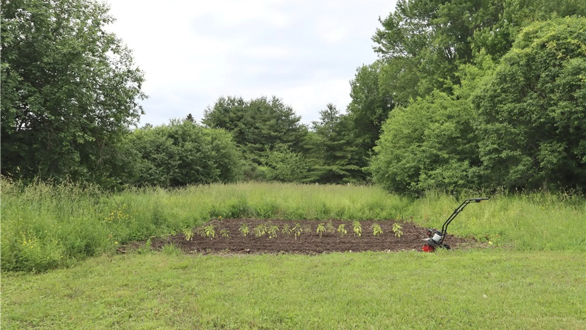 Property at 14211 Dodge Avenue, Hounsfield, NY 13685 48